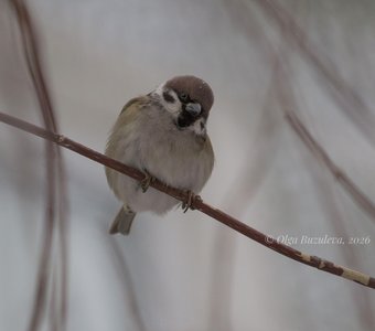 Эй, там с фотоаппаратом!