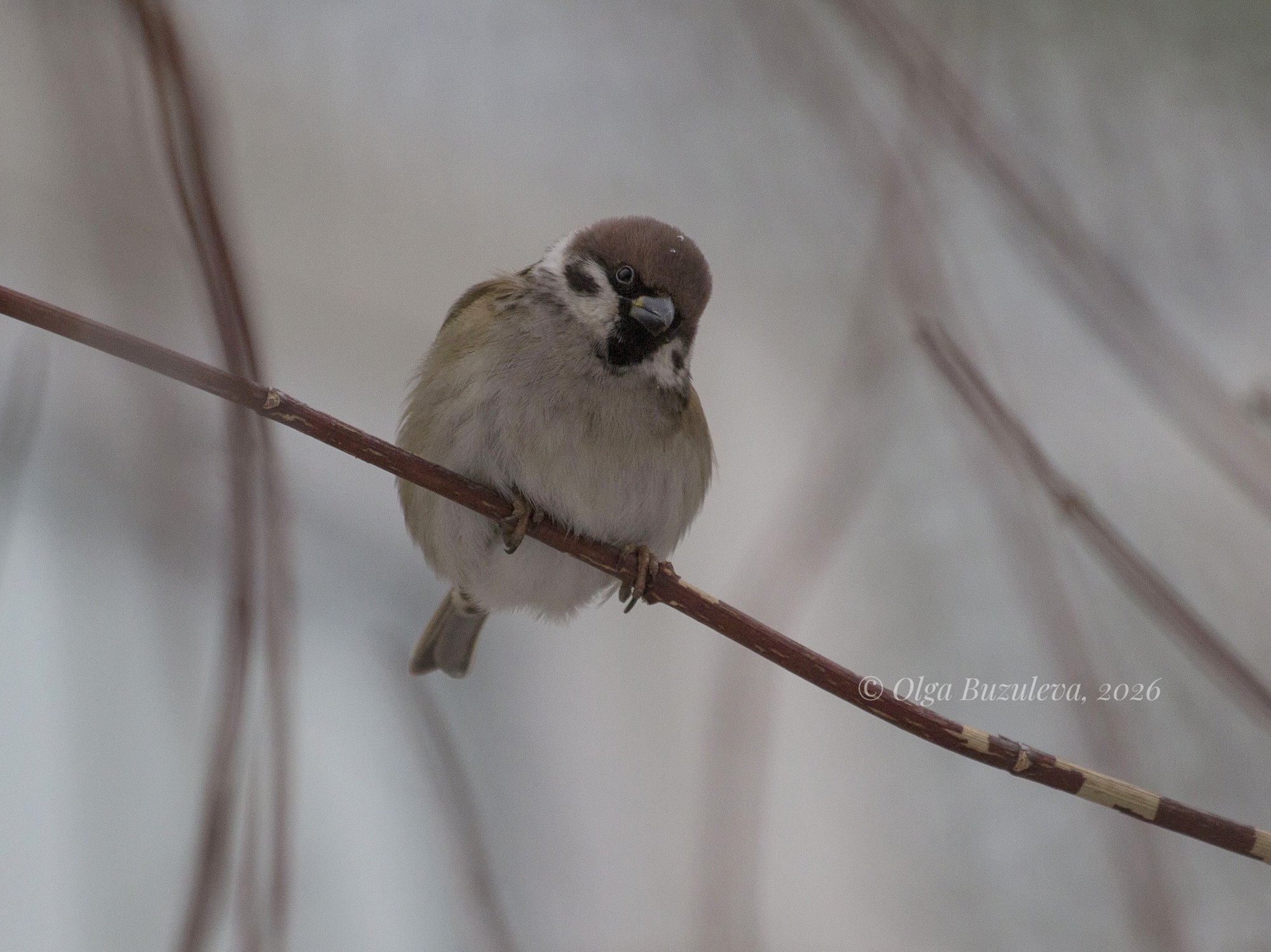 Эй, там с фотоаппаратом!
