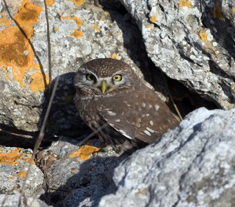 Вас заметили