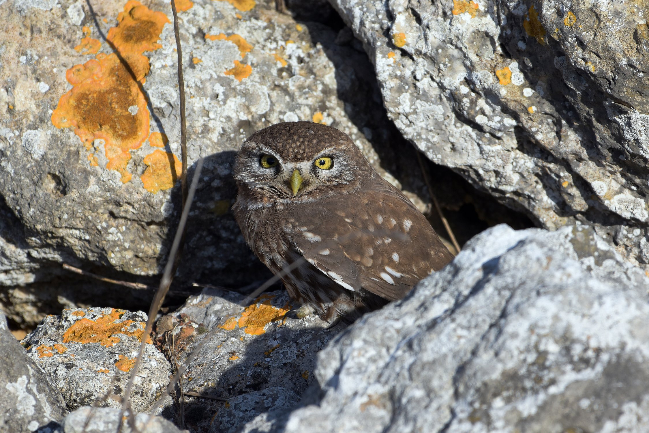 Вас заметили