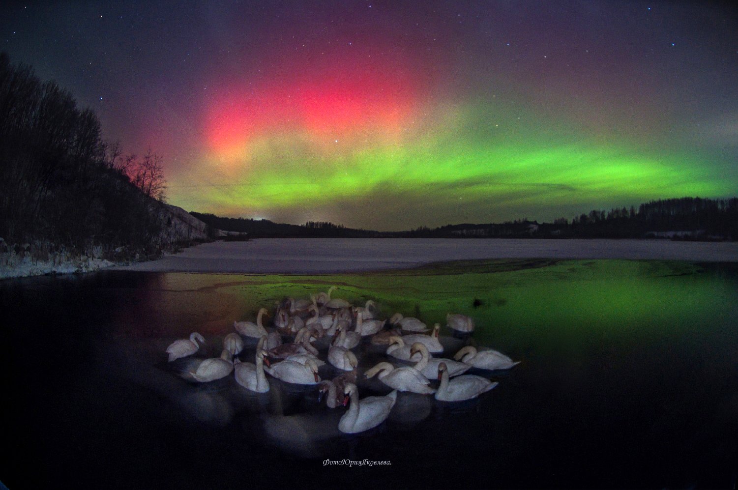 Лебединый вальс под сияние северной Авроры