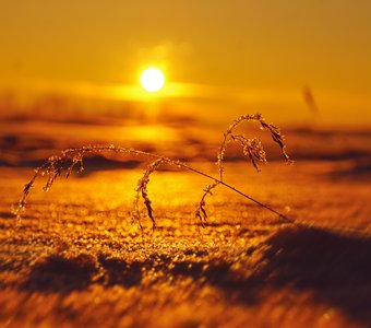 Зима в Мещёре