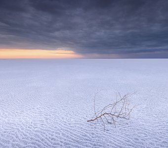 Одиночество Эльтона