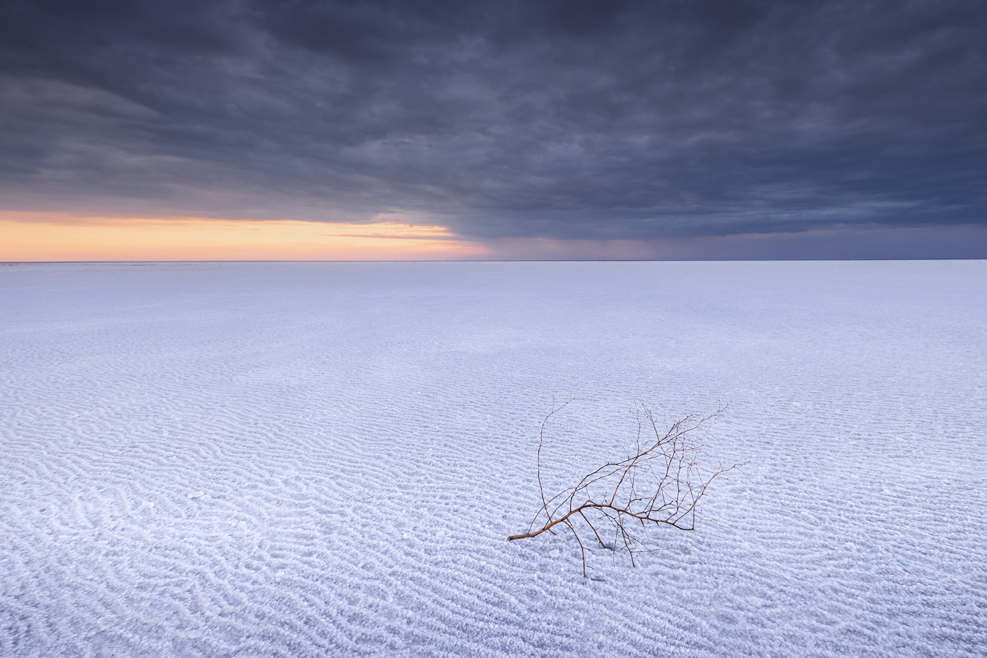 Одиночество Эльтона