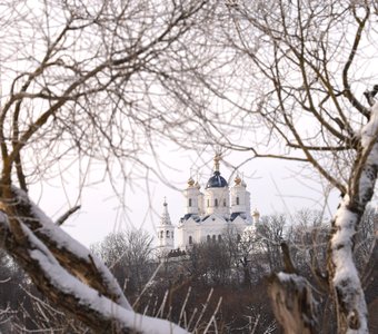 Свято-Успенский Свенский монастырь, Брянск