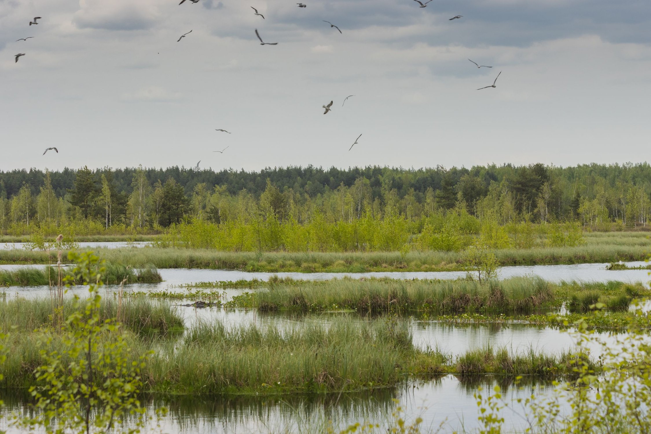 Разгар лета