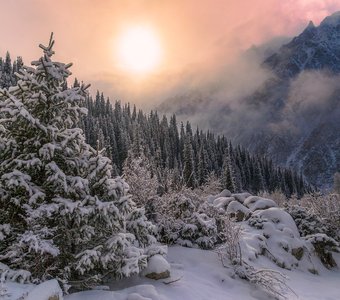 Сказки Ала-Арчи