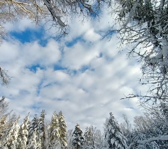 Небесное "Озеро"