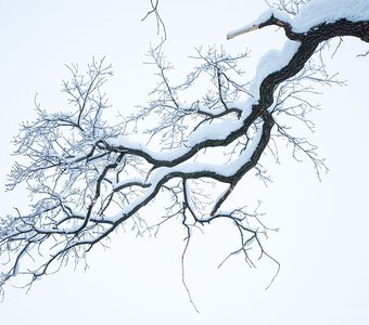 Зимняя графика