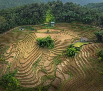 Рисовые террасы Вьетнама