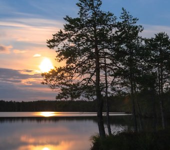 Полнолуние