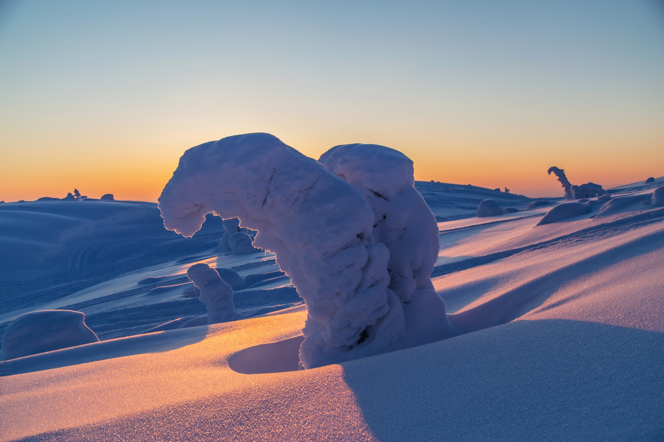 Холодные синие тени