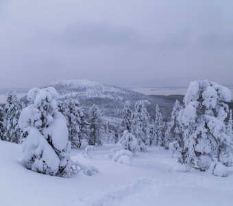 Зимний день