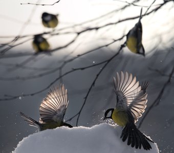 На рассвете