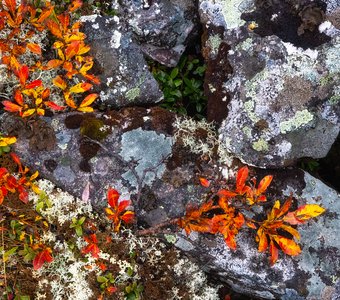 Фактуры Северного Урала