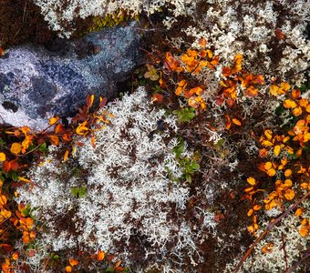 Фактуры Северного Урала