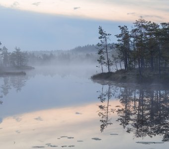 Туманное утро
