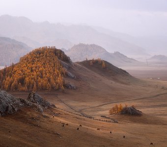 За далью даль