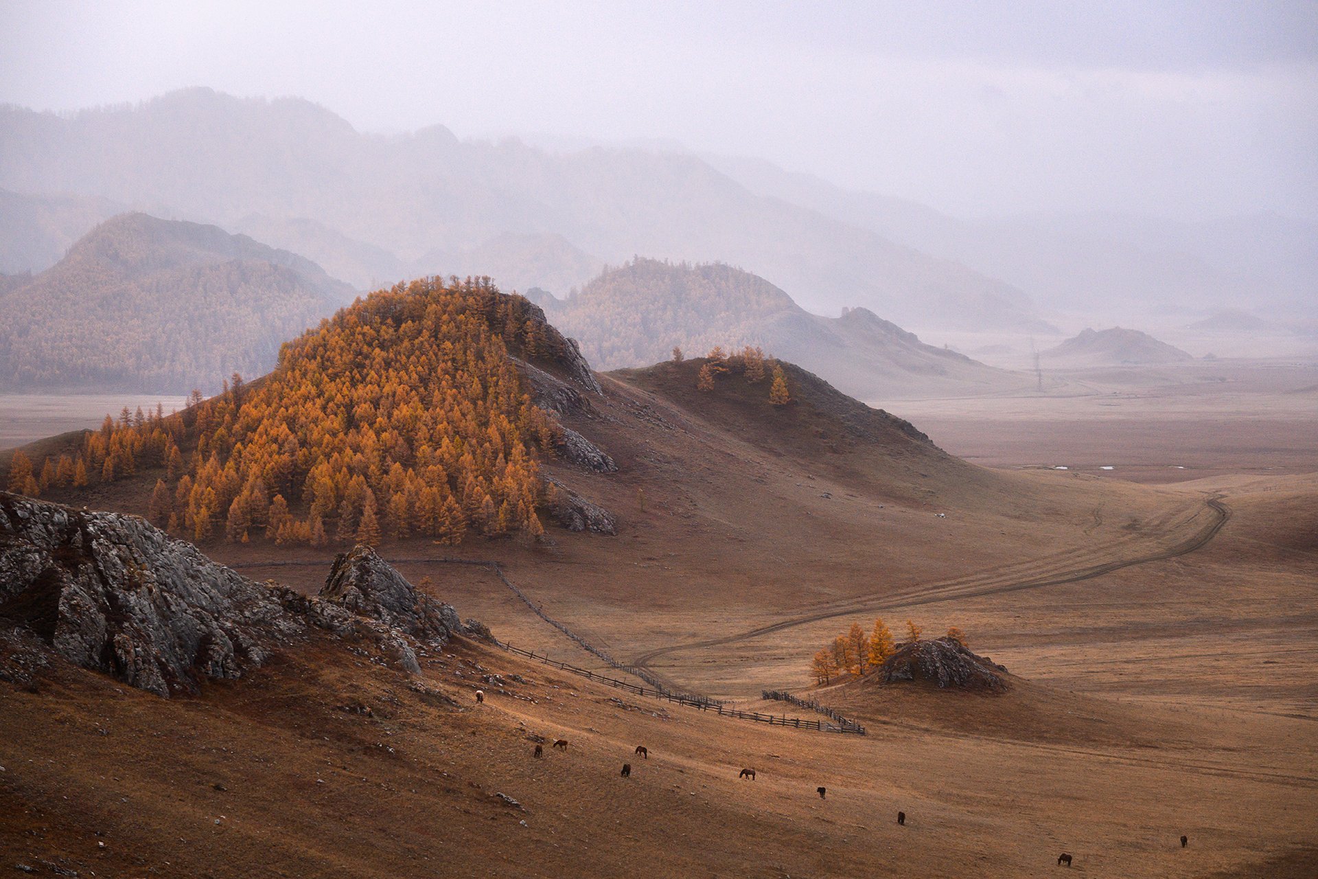 За далью даль