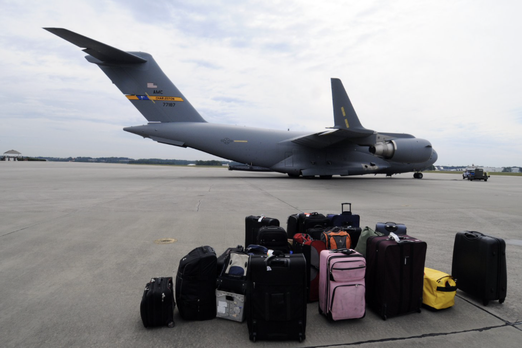 Самые странные вещи, которые возили американцы в 2025 году: от рептилий в штанах до макетов бомб