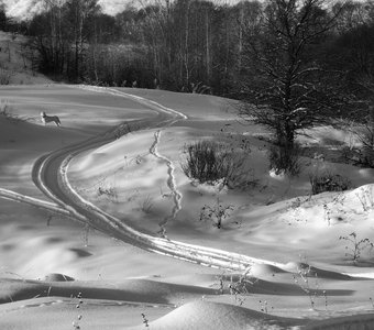 Снежные холмы