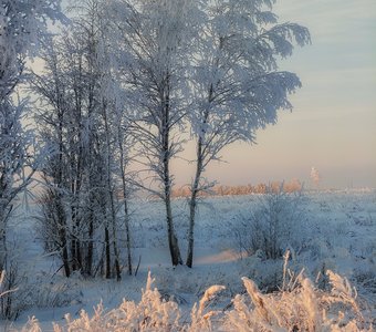 Розовый с синим