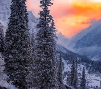 Сказки Ала-Арчи