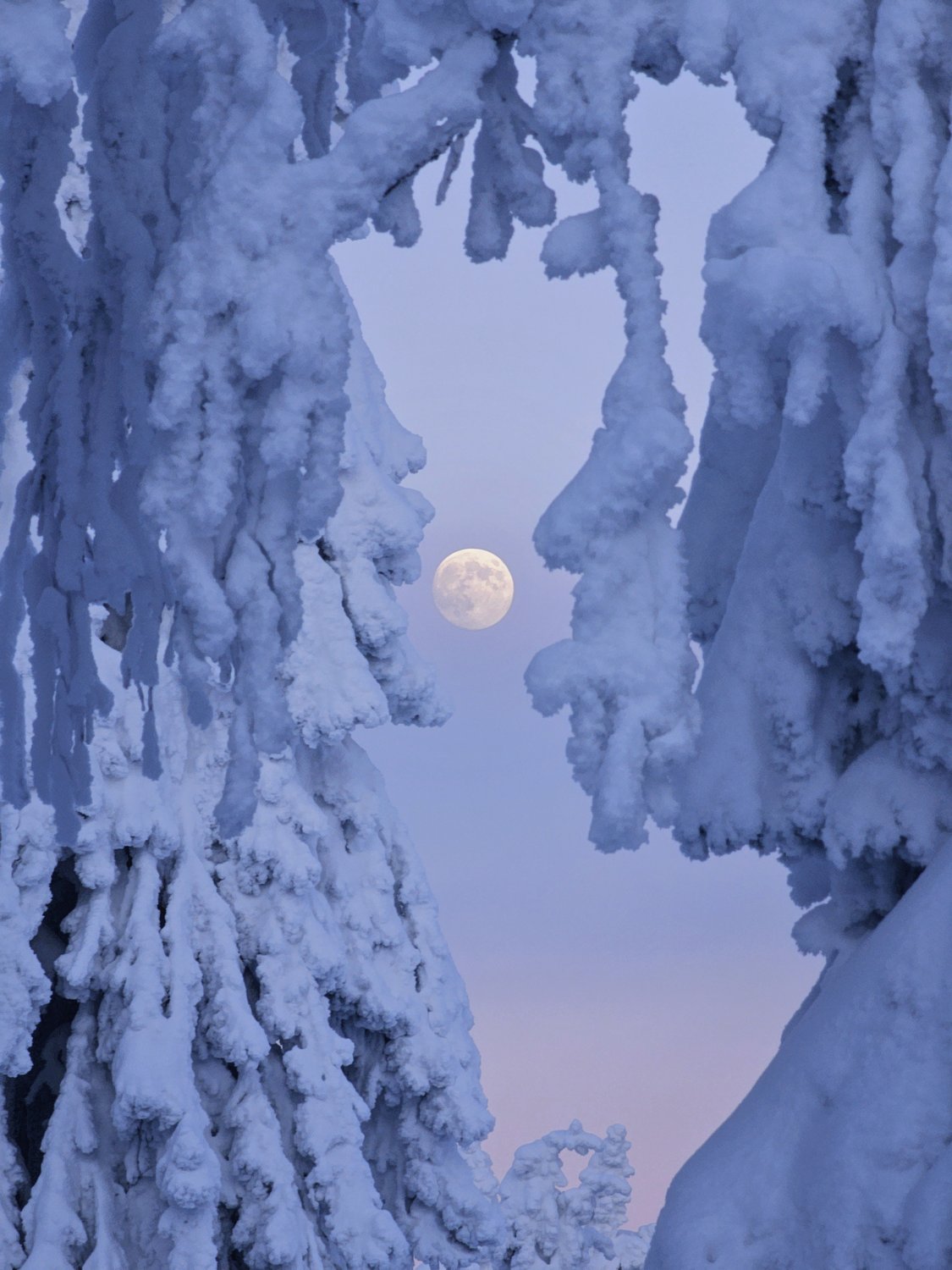 В объятьях зимы