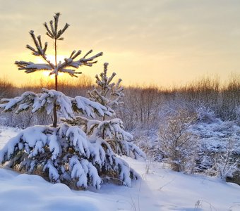 Зимний закат