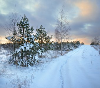 Там на заснеженных дорожках, следы...