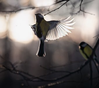 На закате дня