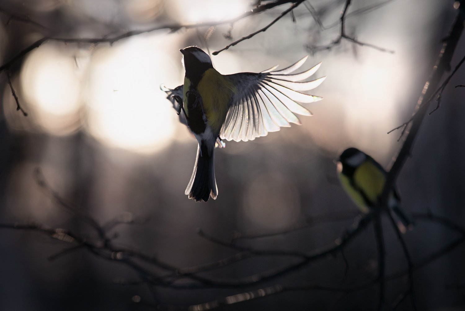 На закате дня