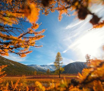 Золотые запасы Колымы