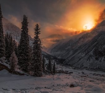 Сказки Ала-Арчи