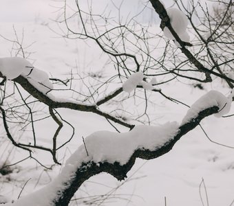 Зимняя геометрия