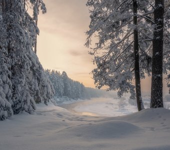 Тишина зимнего леса