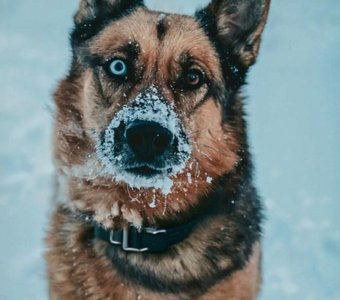 Вот и Новый год!