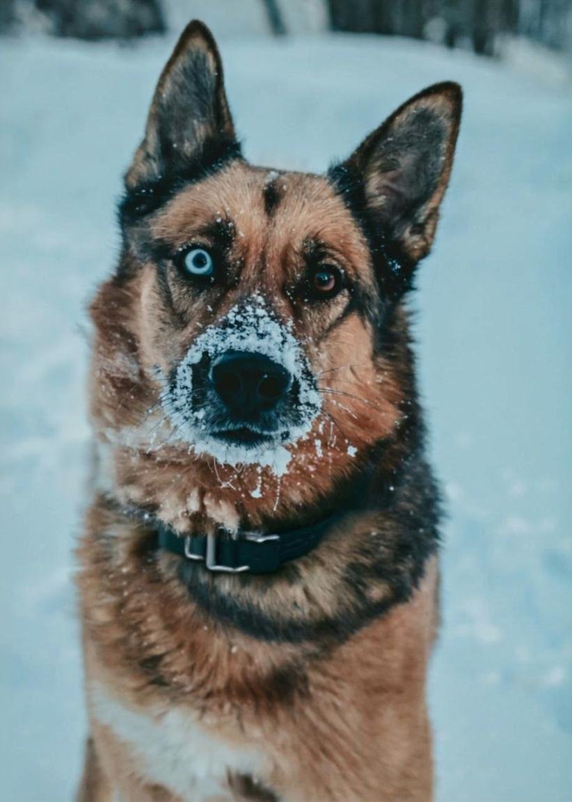 Вот и Новый год!