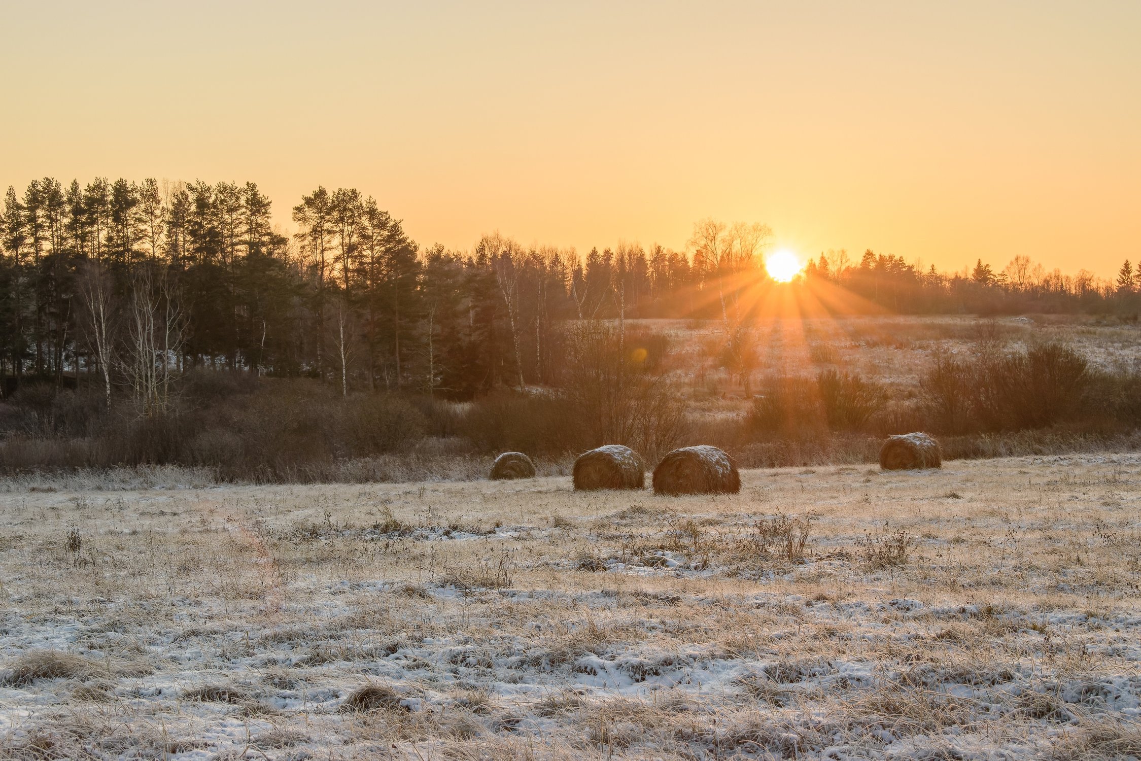 В окрестностях Улеймы