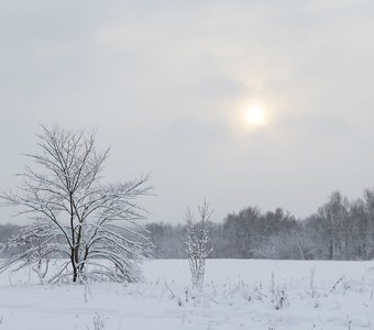 Зимняя меланхолия