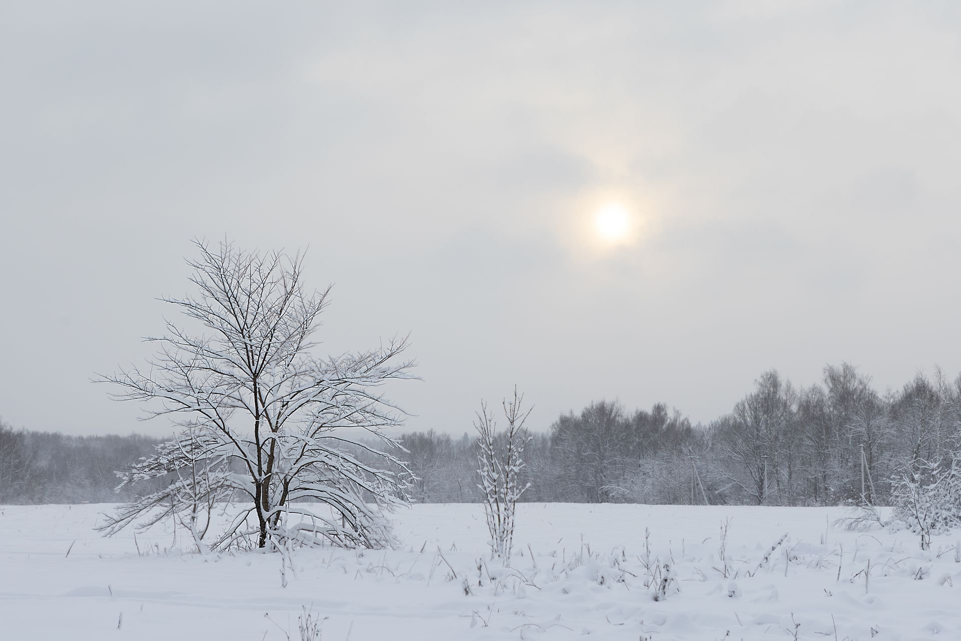 Зимняя меланхолия