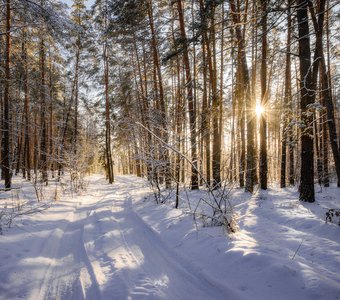 Дорога в сказку