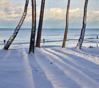 Зимние тени