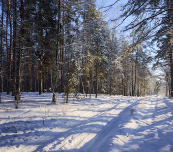 Эх, по дорожке, да по снежной!