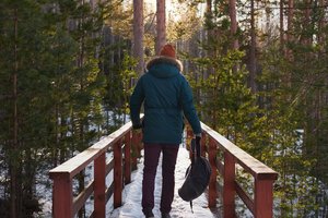 Что с нашим мозгом делает всего один час на природе