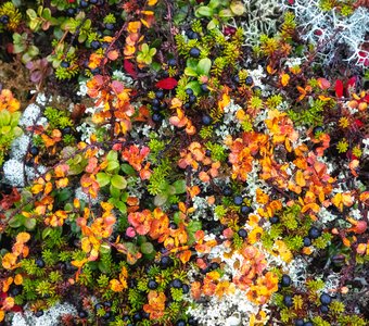 Фактуры Северного Урала