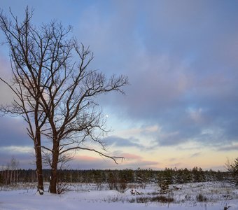 Два одиноких великана