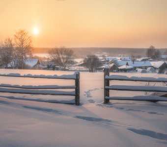 В мягком свете зимнего солнца