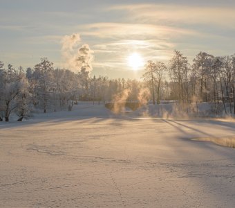 Морозный пейзаж в Дворцовом парке Гатчины