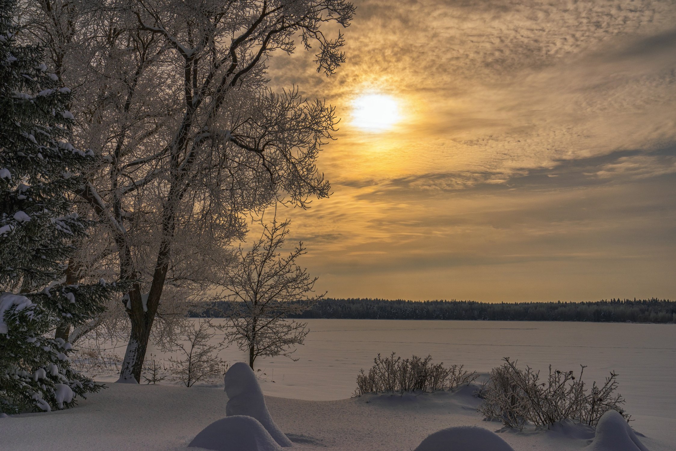 Февраль в Мещере